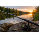 Spinning Rods 