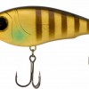 Golden Perch 