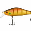     Golden Perch 