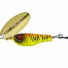 Yellow Tiger 