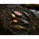Lures