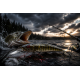 Hard Lures
