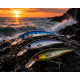 Hard Lures