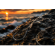 Fluorocarbon
