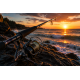 Spinning Rods 